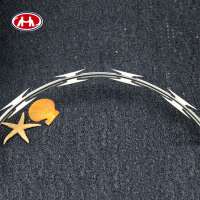 CBT-65 Razor Wire