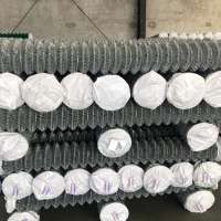 direct factory PVC coated Chain Link Fence galvanized chain link fence