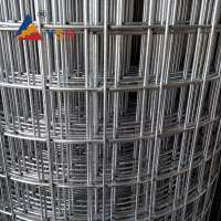 Competitive Price Electro Galvanized Stainless Steel Welded Wire Mesh