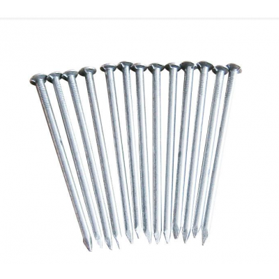 Cheap polished common nails, galvanized common nails.